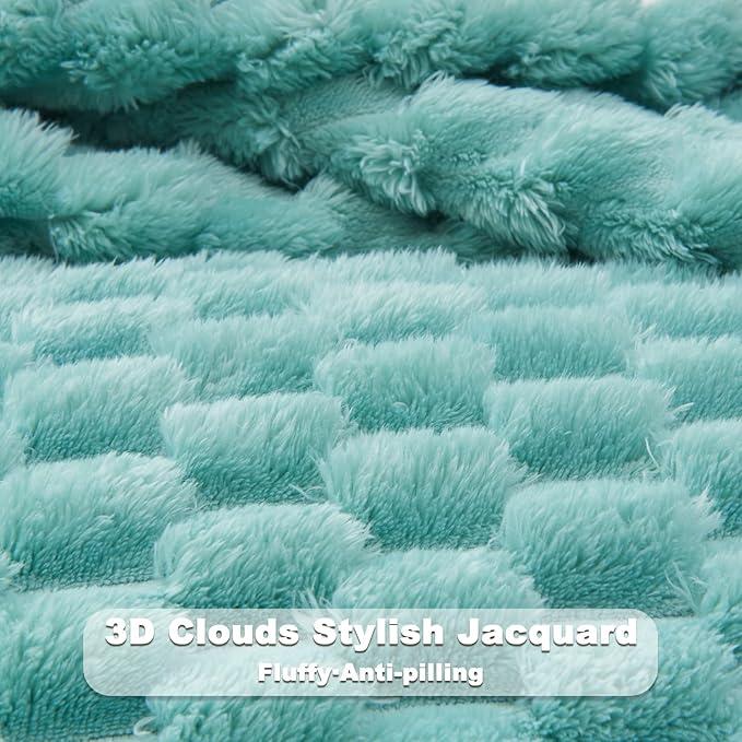 NEWCOSPLAY Super Soft Queen Blanket Sage Green Premium Silky Flannel Fleece 3D Clouds Stylish Jacquard Lightweight Bed Blanket All Season Use 350GSM (Sage Green, Queen(90"x90"))-Ruum Studio Home