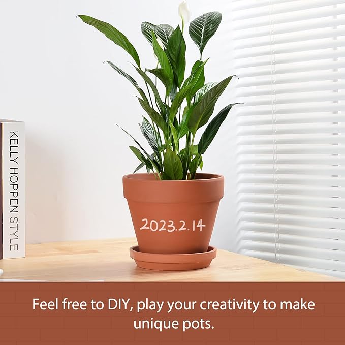 INGOFIN Terracotta Pots Set with Saucer - 2-Pack Ceramic Clay Planters with Drainage Hole, Garden Flower Succulent Pots with Tray for Indoor Outdoor Plants, 8 inch, Set of 2-Ruum Studio Home