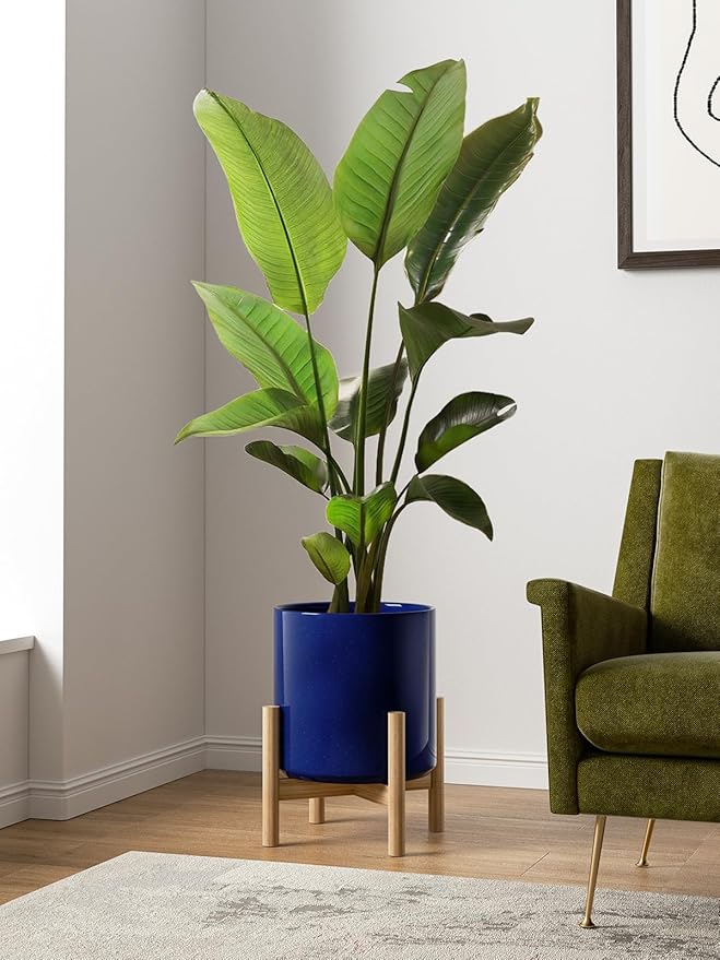 LE TAUCI 12 Inch Pots for Plants, Ceramic Large Plant Pot for Indoor Plants, Mid-Century Modern Flower Planter Pots with Drainage Hole and Removable Plug, Round Planter Pot, Sapphire Blue-Ruum Studio Home