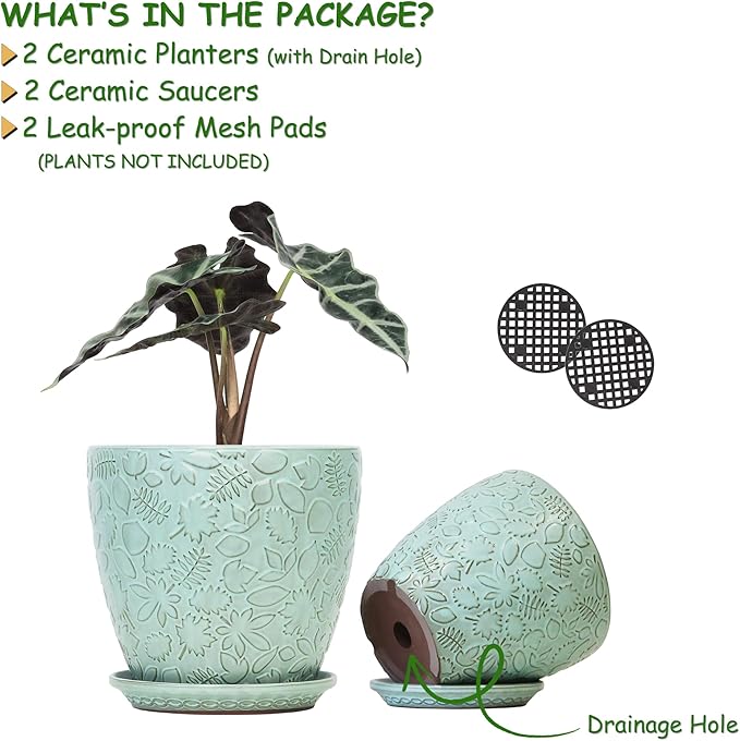 8 Inch + 6 Inch Plant Pots for Indoor Plants, Ceramic Planter with Drainage Hole and Saucers, Garden Pots for Succulent, Orchid, and Flower, Set of 2-Ruum Studio Home