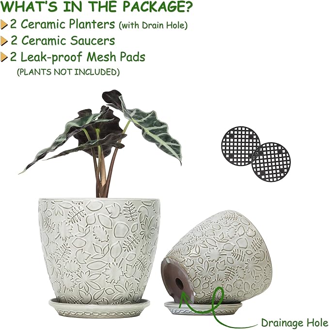 8 Inch + 6 Inch Retro Ceramic Planter Set of 2 with Drainage Hole and Saucer for Multiple Plants, Indoor-Outdoor Garden Pots for Succulent, Orchid, and Flower (Retro White)-Ruum Studio Home