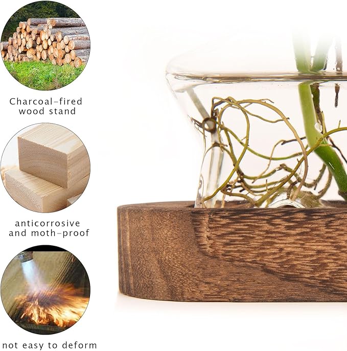 XXXFLOWER Plant Propagation Station with Wooden Stand，Air Plant Terrarium Starter Kits Star Vases for Flowers Plant Cutting Rooting Pots Indoor Hydroponic Glass Planter for Plant Lovers,3 Jars-Ruum Studio Home
