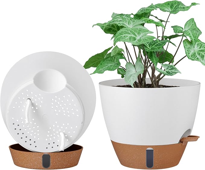 montresor 2 Pack 8 inch Plant Pots, PP Plastic Self Watering Plant Pot with Drainage and Tray for Indoor Outdoor Plants, Water Level Window & Reservoir Flower Pots Decorative Planter(White)-Ruum Studio Home