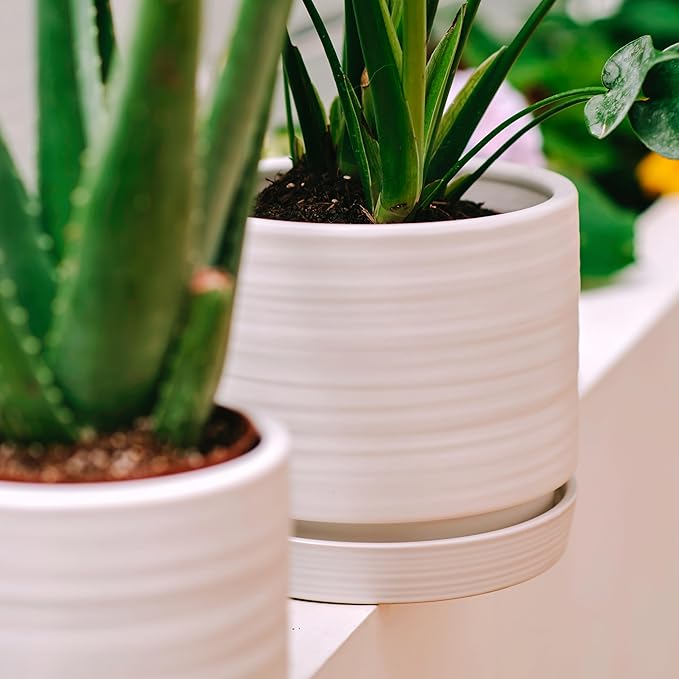 6 + 8 Inch Plant Pots, Ceramic Planter Pot with Drainage Hole & Saucer, Indoor/Outdoor Cylinder Round Planter Pot, Matte White-Ruum Studio Home