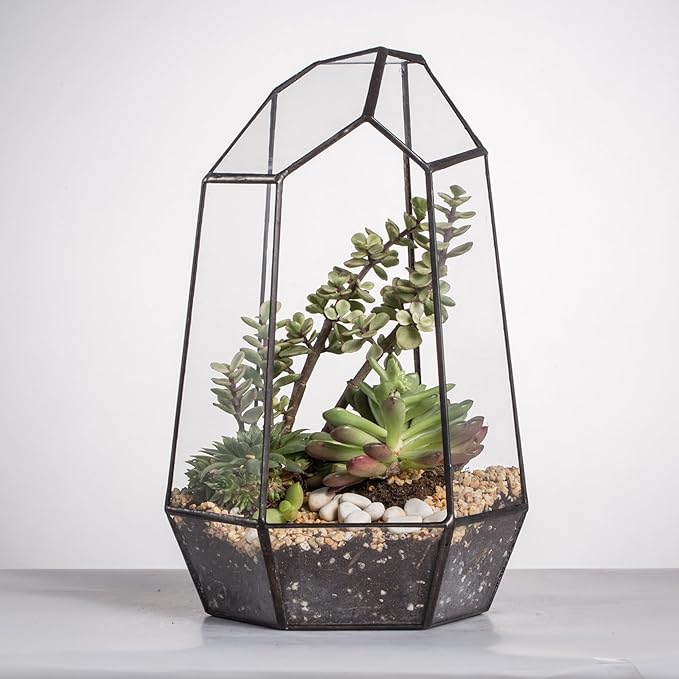 NCYP Geometric Glass Terrarium Planter for Succulent, Small Cacti, Black Irregular Opened Container Pot, Indoor Home Garden Office Tabletop Decor, 6.5" x 5.7" x 9.8" (No Plants, No Door)-Ruum Studio Home