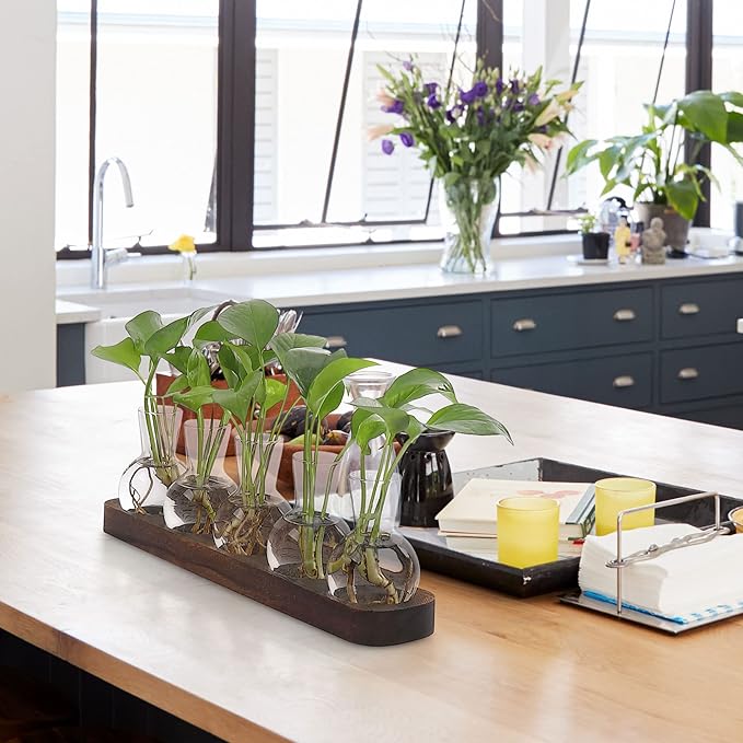 YIBOT Plant Propagation Stations,Glass Propagation Vases for Plants Terrarium with Wooden Tray Plant Lover Gifts for Propagating Hydroponic Plants Home Office Decor(5 Vase)-Ruum Studio Home