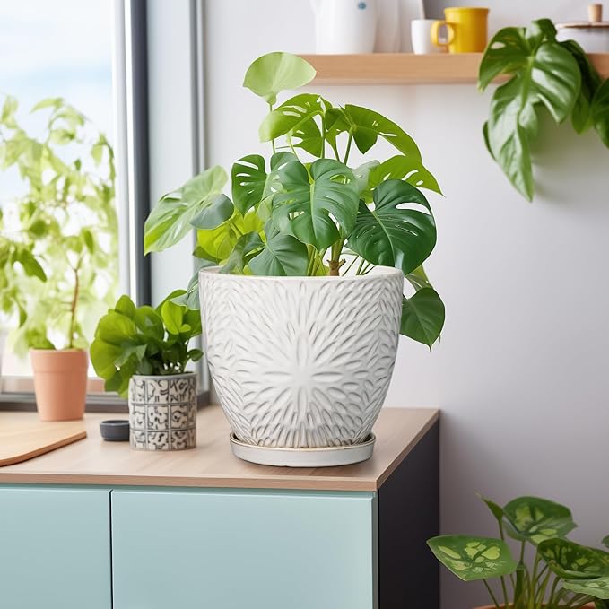 G EPGardening 8 Inch Ceramic Plant Pot with Drainage Hole and Saucer Round Planter Pot for Indoor Outdoor Plants Modern Large Flower Pot White-Ruum Studio Home