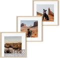 HAUS AND HUES Solid Oak Wood 16”x16” Picture Frames Matted to 12”x12” Set of 3 - Beige Square Frames 16x16, 16 x 16 Print Frames, Natural Wooden 16x16 Picture Frames Square (Beige Oak Frames)-Ruum Studio Home