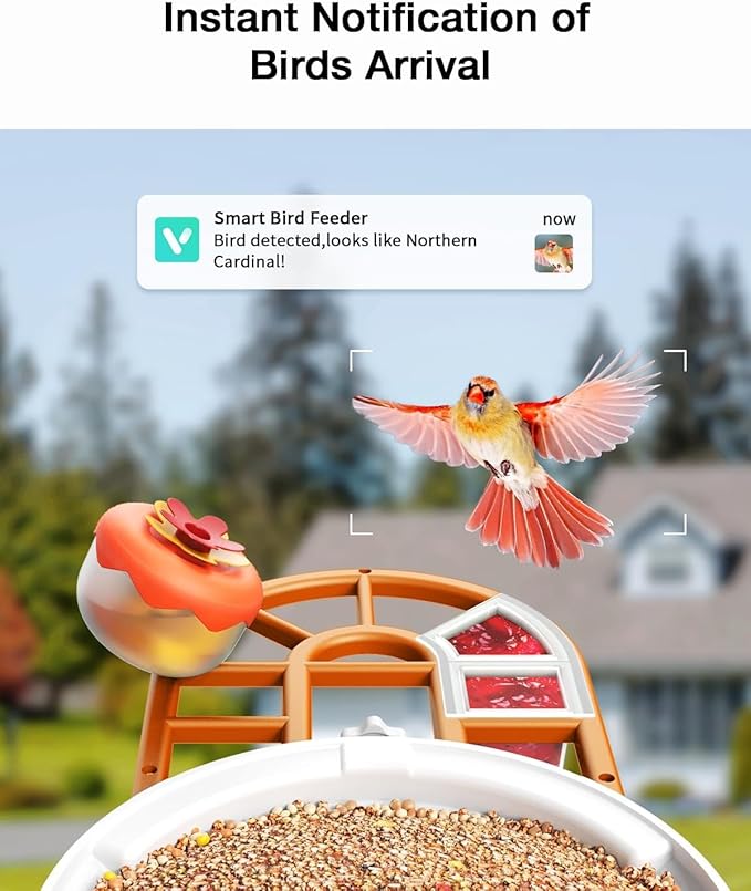 Smart AI Bird Feeder with Camera: Solar-Powered, 2K Live Video, Bird‘s Species Identification, Arrival Alerts, and Motion Capture –Wireless Bird Camera for Watching Birds (Orange)-Ruum Studio Home