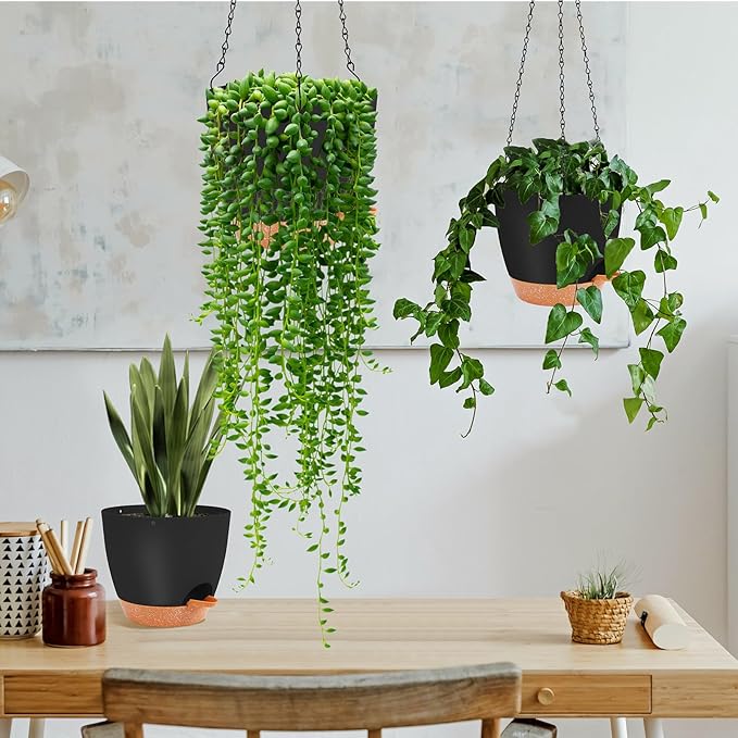 GARDIFE Hanging planters for Indoor Plants, 8 inch Hanging Planter, Self Watering Plant Pot, 2 Pack self Watering Hanging Planter, Black-Ruum Studio Home