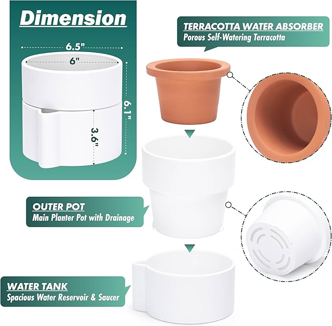 Phoenix Vine 6.5 Inch Self-Watering Planter Pot with Terracotta Insert, Deep Water Reservoir, and Ceramic-Alike BPA-Free Plastic Pot for Plant, Modern Planter for Houseplants, White, 53-A-S-1-Ruum Studio Home