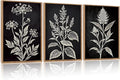 HPNIUB Vintage Floral Framed Canvas Wall Art Set, Minimalist Botanical Wall Decor, Nature Inspired Wildflower Leaf Wall Painting, Farmhouse Neutral Artwork for Living Room, Bedroom, Office-16 x24 x3-Ruum Studio Home