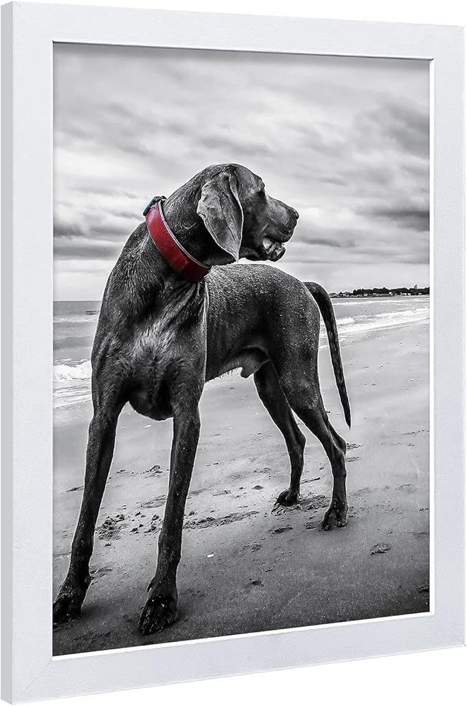 VCK 18x24 Poster Frames 3 Pack White MDF Wood and Polished Plexiglass Frame,Display Pictures in Horizontal and Vertical…-Ruum Studio Home