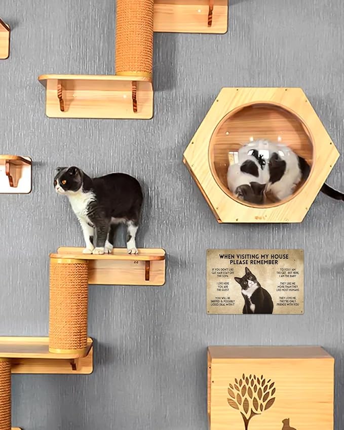 ALKB Funny Tuxedo Cat-Themed Sign 8x12 Inch - Visitor’s Guide to Interacting with Cats - Gift for Cat Lovers’ Home Decor-Ruum Studio Home