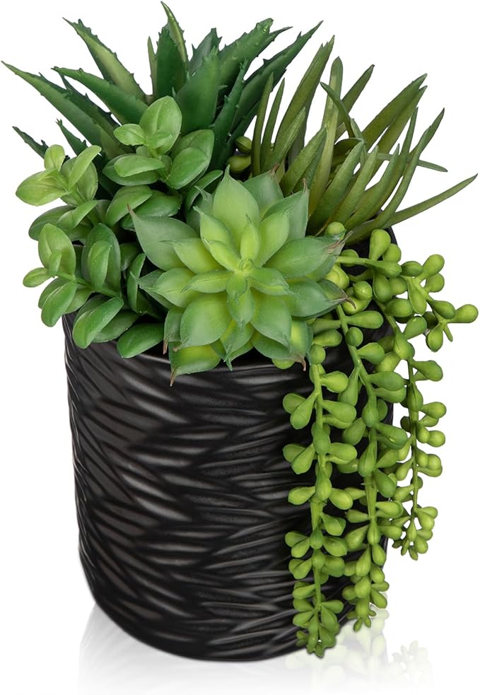 Artificial Succulents in Pots Faux Succulents Plants Fake Succulent Arrangement Potted Plants with Black Ceramic Vase for Office Desk Bathroom Shelf Living Room Indoor Home Decor Large-Ruum Studio Home