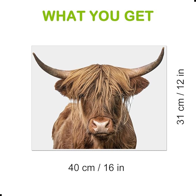 Highland Cow Wall Window Stickers Decor Scottish Cow Wall Decals Peel and Stick Funny Cow Wall Stickers Removable Cool Cow Farmhouse Kitchen Decoration Weird Gifts for Fiends Christmas-Ruum Studio Home