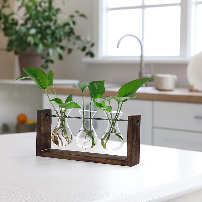 YIBOT Wall Hanging Planter Propagation Station, Plant Terrarium with Wooden Stand, Hydroponics Plants Home Office Living Room Decor Gift-3 Bulb Glass Vases-Ruum Studio Home