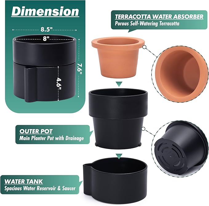 Phoenix Vine 8 Inch Self-Watering Planter Pot with Terracotta Insert, Deep Water Reservoir, and Ceramic-Alike BPA-Free Plastic Planter Pot for Plant, Modern Planter for Houseplants, Black, 53-A-T-2-Ruum Studio Home
