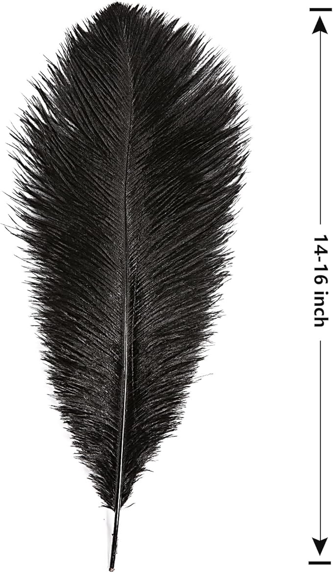 THARAHT Black Ostrich Feathers 12pcs Large Natural Bulk 14-16Inch 35cm-40cm for Wedding Party Centerpieces Halloween and Home Decoration Feathers-Ruum Studio Home