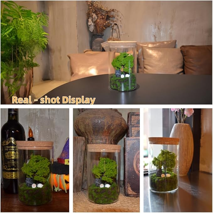 Oakwell Eternal Nature Desktop Ornament, a Miniature Scene Model with LED Light, a Gift for Yourself and Friends, Suitable for Decorating Scenes Such as Office Desks, Closets, Bedrooms, etc.-Ruum Studio Home