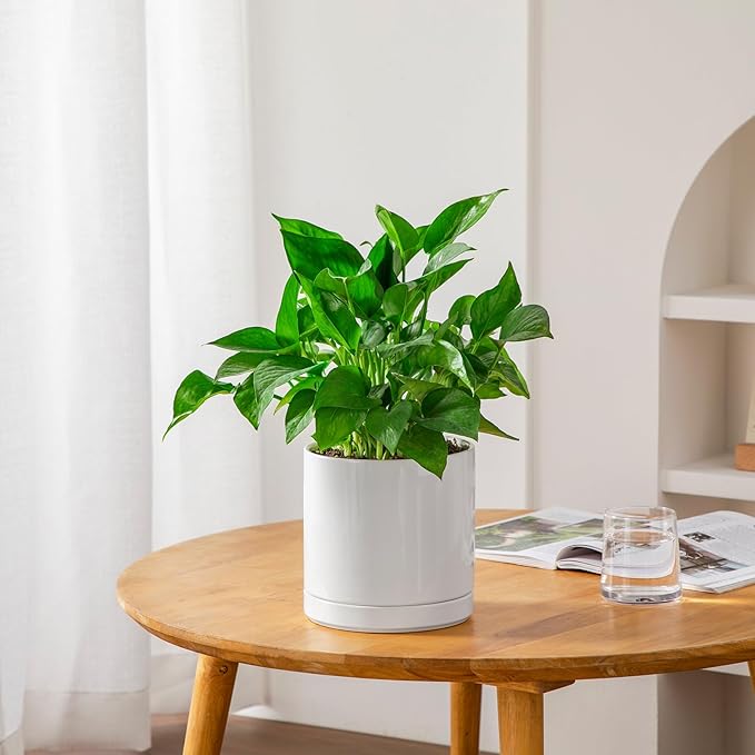 vancasso Ceramic Plant Pots, 6.25 Inch Ceramic Pot for Plants, Planters Pots for Indoor Plants with Drainage Holes, Flower Pot for Indoor House Plant, White-Ruum Studio Home