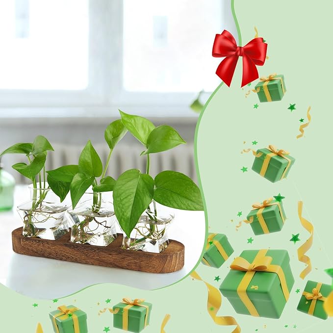 XXXFLOWER Plant Propagation Station with Wooden Stand，Air Plant Terrarium Starter Kits Star Vases for Flowers Plant Cutting Rooting Pots Indoor Hydroponic Glass Planter for Plant Lovers,3 Jars-Ruum Studio Home