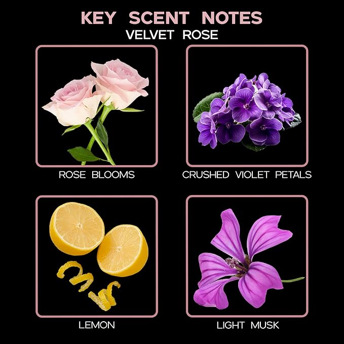 LOVSPA Reed Diffuser Set, Velvet Rose Scented Oil Diffuser with Sticks, Home Fragrance Accessories for Bathroom Shelf Decor, Aroma Diffusers for Home or Office Desk, USA Made-Ruum Studio Home