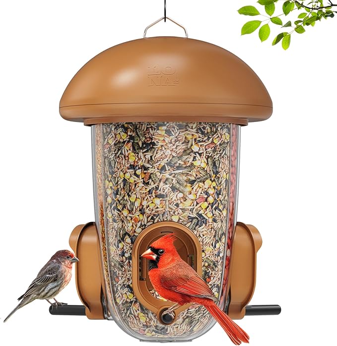 LONA Bird Feeders for Outdoors Hanging – 3 Separate Compartments, 3 Feeding Ports, Weatherproof Dome & 3 Ways to Hang, Large Capacity for Cardinals/Finches (Brown，Plus-Ruum Studio Home