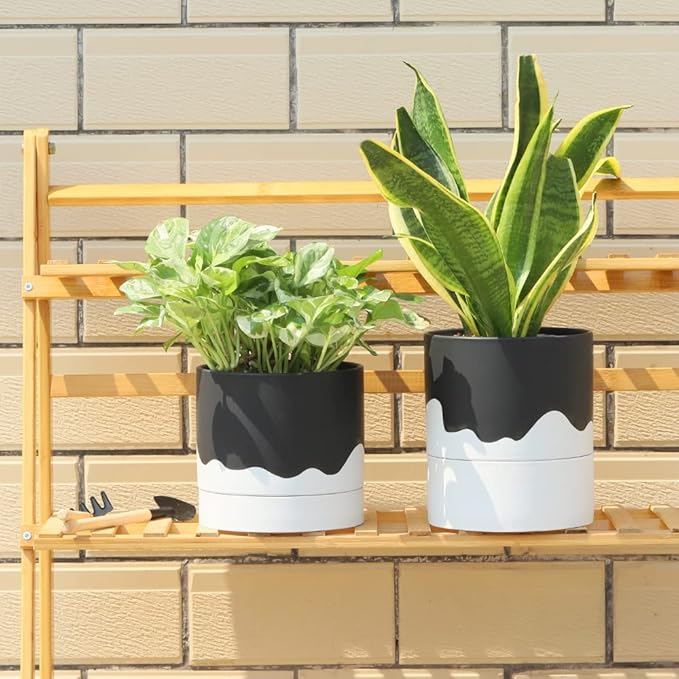 Nihow Ceramic Plant Pot: 6 Inch Planter with Drainage Hole & Saucer for Indoor & Outdoor Plants - Cylinder Round Flower Pot for Succulent/Herbs/Violets - Black & Wave White-Ruum Studio Home