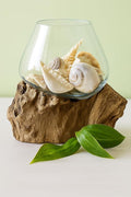 OMA Molten Glass on Driftwood – Hand Blown Vase, Terrarium, or Planter for Coastal & Boho Home Décor Centerpieces (6" - 7" High)-Ruum Studio Home