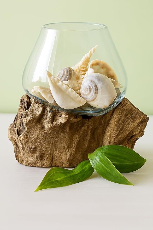 OMA Molten Glass on Driftwood – Hand Blown Vase, Terrarium, or Planter for Coastal & Boho Home Décor Centerpieces (6" - 7" High)-Ruum Studio Home
