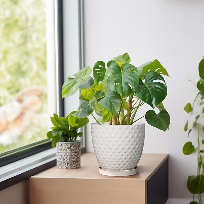 G EPGardening 6 Inch Ceramic Plant Pot with Drainage Hole and Saucer Round Planter Decorative Flower Plant Pot for Indoor Plants Outdoor White-Ruum Studio Home