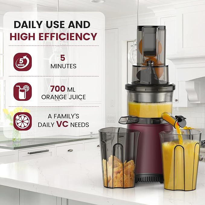 Masticating Cold Press Juicer Machines: 200W Pure Slow Juicer With Quiet Motor For Vegetable And Fruit Easy To Clean, Red-Ruum Studio Home