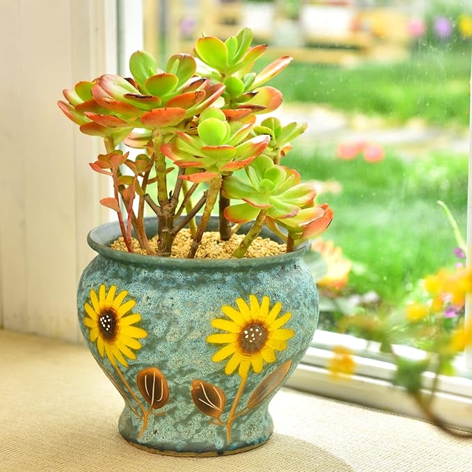 Sungmor Ceramic Hand Painted Succulent Flower Pots, 9 Inch Large Pottery Pots for Indoor Outdoor Plants, Decorative Ceramic Vase for Flower Arrangement Home Decor, Vintage Centerpieces Flowerpot-Ruum Studio Home