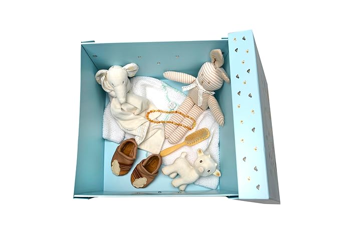 GroWings Baby Keepsake Box - Large Memory Storage for Newborns, Suitable for Boys and Girls, Strong, Durable, and Collapsible Gifts-Ruum Studio Home