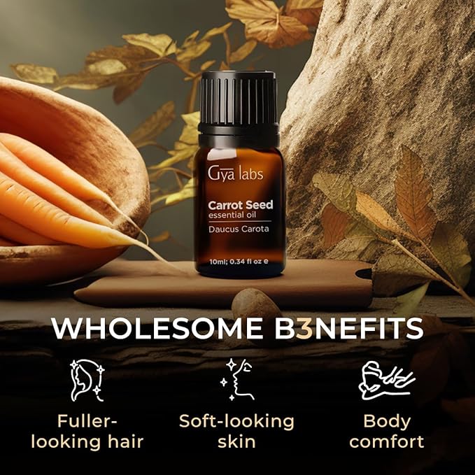Gya Labs Carrot Seed Essential Oil - 0.34 Fl Oz - 100% Pure Natural Carrot Oil for Skincare, Hair, Scalp & Aromatherapy, Massages ,DIY ＆Candle Making Scent-Ruum Studio Home