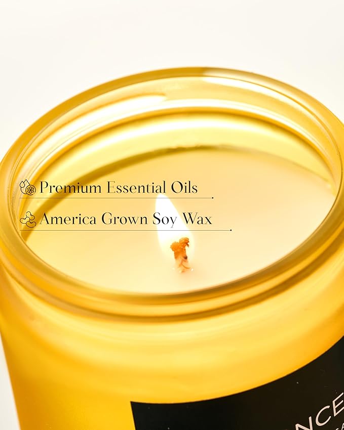 M&SENSE Limocello Summer Scented Candle, 7.05oz 50 Hours Long Lasting Burn Non Toxic Natural Soy Wax Lemon Highly Scented for Home Decor, 2 Wick Relaxing Candle Gifts for Yoga Spa Meditation-Ruum Studio Home