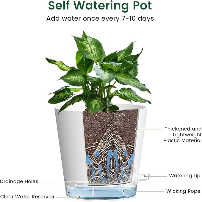 6 inch Self Watering Pots for Indoor Outdoor Plants, 6 Pack Flower Plant Pots with Drainage Holes and Clear Reservoirs, Visible Water Level, Plastic Planters with Wicking Rope, White-Ruum Studio Home
