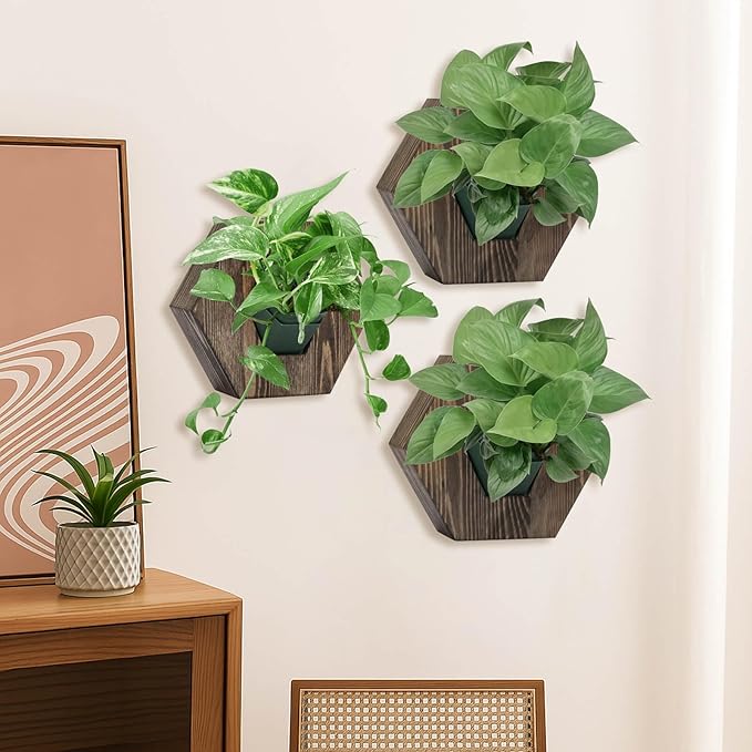 Hexagonal Wooden Wall Planter, Self Watering Living Vertical Planter Indoor, Wooden Frame Planter Wall Decoration Home Office,2pc Walnut-Ruum Studio Home