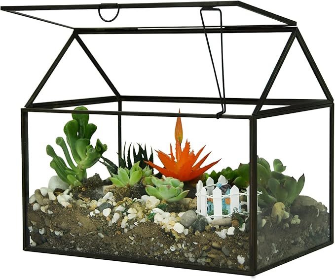 Black 1 Large Glass Plant Terrarium Kit with Lip Greenhouse for Succulents-Ruum Studio Home