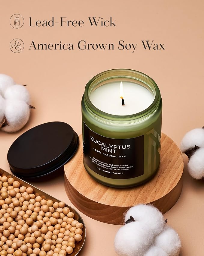 M&SENSE Eucalyptus & Mint Candles for Home Scented, Clean Non Toxic Aromatherapy Candle Gift 7.05oz 50 Hours Burn for Stress Relief Meditation Yoga Relaxing SPA-Ruum Studio Home