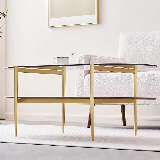 Oval Glass Coffee Table, Mid-Century Modern Design, L41 x W21 x H17 inch, for Living Room, 2-Tier Structure, Amber Glass Top and Walnut Finish Wood Shelf, Conical Legs with Gold Finish Frame-Ruum Studio Home