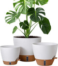 montresor 12/10/8 Inch Self Watering Pots for Indoor Plants Plastic Large Pot for Outdoor Plants, Water Level Window & Spacious Reservoir Flower Pots Decorative Planter with Drainage and Tray (White)-Ruum Studio Home