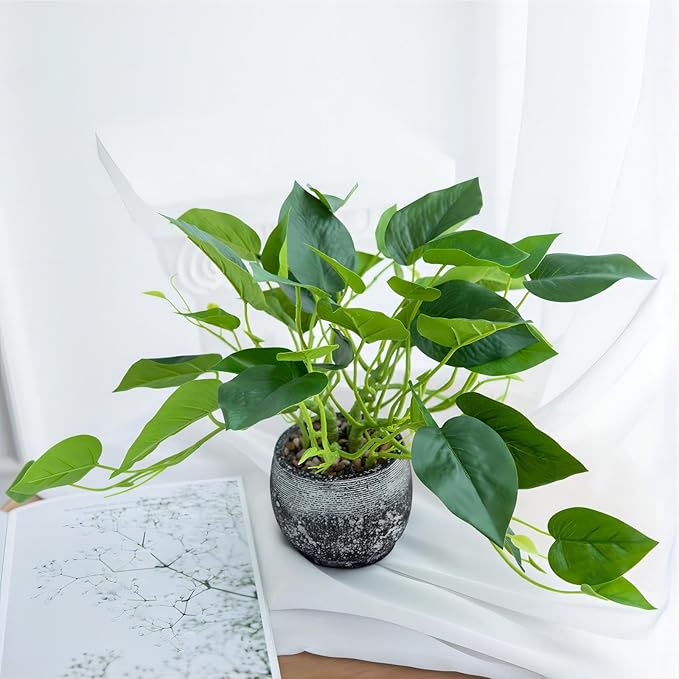 AlphaAcc Artificial Plants Potted Real Looking Small Faux Plant with Rustic Black Cement Planter for Kitchen Office Desk Bookshelf Decor (Ivy Plant)-Ruum Studio Home