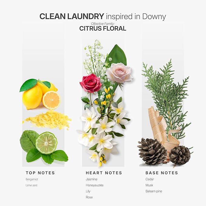Aromaplan Scents, Clean Smelling Essential Oils, Clean Laundry Inspired by D. (5 Fl Oz /148ml)-Fresh Scent Essential Oil for Diffuser, USA Fragrance, Bigger Bottle, Bolder Aroma & Longer Lasting-Ruum Studio Home