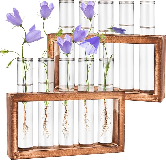 2pcs Desktop Glass Plant Propagation Station with 10 Test Tubes in Wooden Stand - Hydroponic Plants Cutting Office Home Decoration and Garden Decor Terrarium (10 Tubes)-Ruum Studio Home