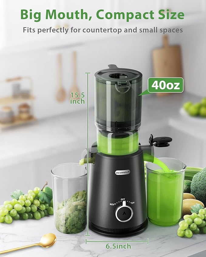 Juicer Machines with Wide Mouth & Large Feed Chute, Professional Cold Press Juicer For Whole Fruits & Vegetables, Self Feeding for Juice Extractor Machine, Easy to Clean, High Juice Yield-Ruum Studio Home
