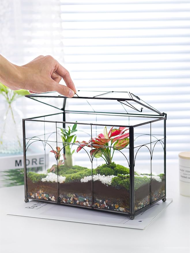 Handmade Glass Planter Terrarium with Lid, Indoor Tabletop Centerpiece Display Box Modern Decor DIY Gift Plant Terrarium Container for Succulent Cacti Air Plants Flower (Black)-Ruum Studio Home