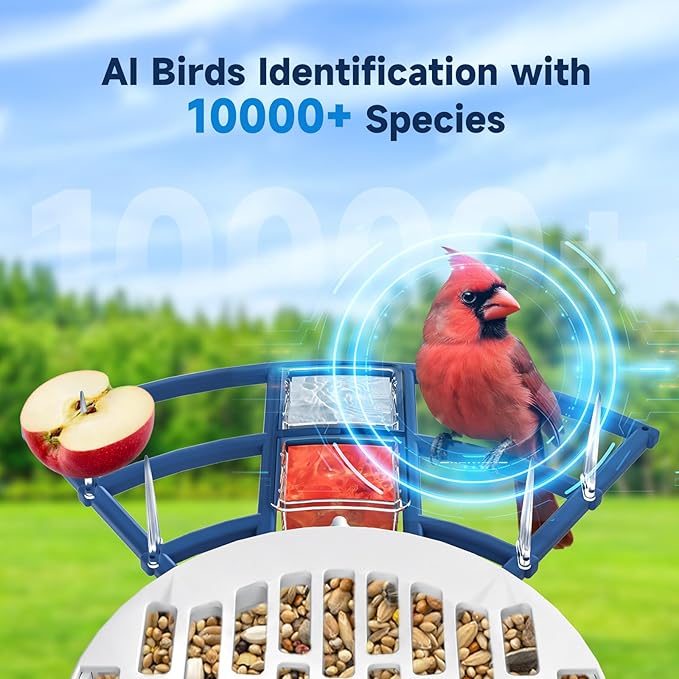 Bird Feeder with Camera Bird Feeders for Outdoors with Solar Panel, AI Identification, Ideal Gift for Lovers Friends and Parents, Navy Blue-Ruum Studio Home
