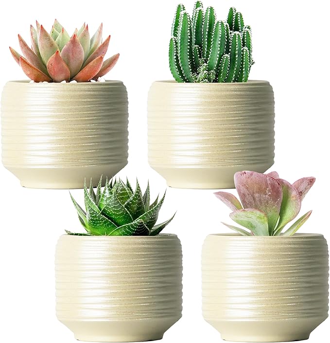 Mini Succulent Planter Set – 3.7 Inch Ceramic Pots with Drainage for Indoor Plants, Small Decorative Flower Pots for Cactus and House Plants, Set of 4-Ruum Studio Home
